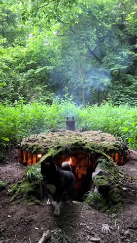 UNDERGROUND HOUSE 🛖🔥🐶 Building BUSHCRAFT Survival Shelter & Fireplace Cooking  . Which country are you following me from? please write 🐶🙏 . . YouTube Channel▶️ Bushcraft Hakan Karahan  . . . #bushcraftcamp #bushcraft #survival #camping #craft #outdoor #cooking #offgrid #shelter #survivalshelter #asmr #kamp #doğa #youtube #bushcrafthakankarahan #orman #cabin #rain #underground #dugout #viking