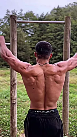 #calisthenics #streetworkout #pullup #back #motivation #paris 