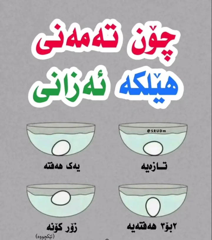 #کوردوستان#koya 🇹🇯️_هەولێر_سلێمانی_کەرکوک