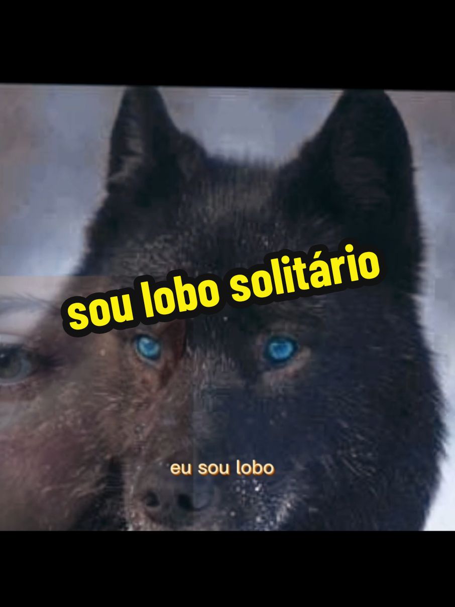 #CapCut #modelocapcut #lobosolitario #musica #viral #viraliza #foryou 