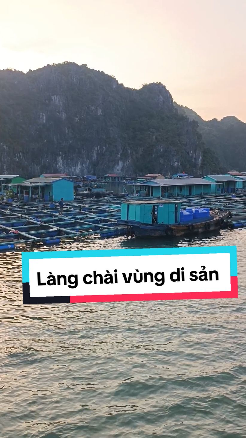 Làng chài nổi bên bờ Vịnh #Vietnam #Lanhabay #Catba  #halong_adventure #langchai #floatingvillage 