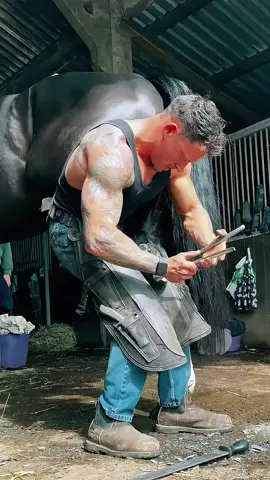 #farrier #farriersoftiktok #hoof #hoofcare #hoofcleaning #hoofpicking #hooftrim #hooftriming #hooftrim #tiktok #viral #foryoupage #fyp 