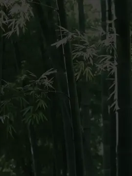 jibon shesh bash khaite khaite 🙂🙏