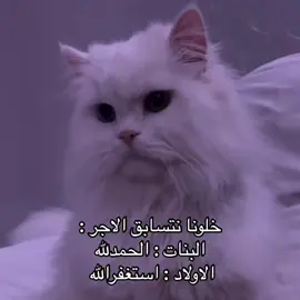 خلونا نتسابق الاجر 🥺🤍🤍 ! #اسلاميات #دينيات #الإسلام_دين_الحق #مقاطع_دينية #الاسلام 