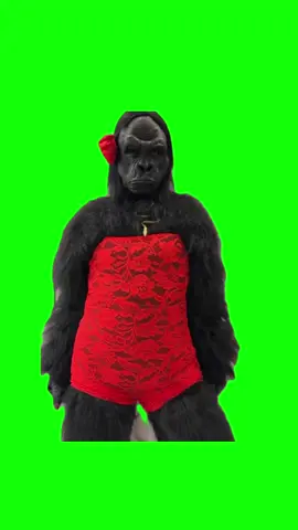 Gorilla sexy outfit dance meme green screen #discord #protemplate #keepup #greenscreen#fyp #thanksgiving #turkey #memes 