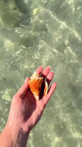 “For by Him all things were created in Heaven and on Earth” Colossians 1:6