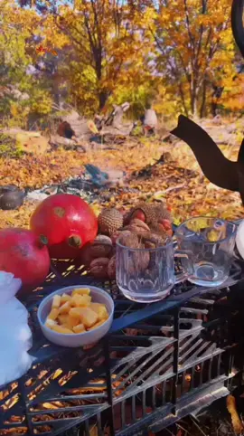 لـەرزیــنی دەســتــم 🙂🍂🤎.                              #peshrawhawramy #tik_tok #♥️ #پێشڕەوهەورامی #actives? #peshraw_hawramii95 