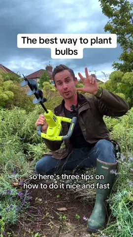 How to plant bulbs Dig a hole wide and deep enough for your bulbs. A bulb auger will make short work of this, so I dig all my holes in one go. Remember to only plant bulbs at two to three times their depth. Place the bulbs in the hole with their ‘nose’, or shoot, facing upwards. Space them at least twice the bulb’s own width apart Replace the soil and gently firm with the back of a rake. Avoid treading on the soil as this can damage the bulbs
