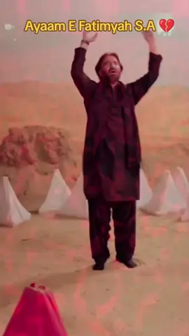 Yabn Zehra S.A Wawaela 💔😢 #shiatiktok #foryou #newnoha #shiastatus #nadeemsarwar #ayamefatimyah 