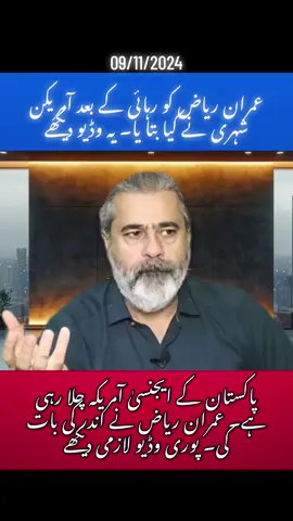 عمران ریاض جب قید سے رہا ہوا تو  آمریکہ کی شہری نے بتایا کہ عمران بھائی ۔۔۔۔۔#imranriazkhan #imrankhanpti #pmln #uk #usa #pakistan 
