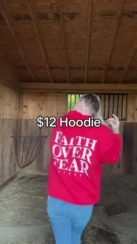 Now if only my kids would stop stealing this hoodie from me. 