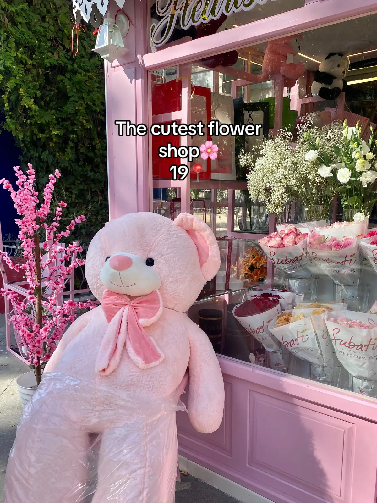 For all flower lovers🌸🩷  📍19 #flowers #algeria #setif #سطيف  #pink #flowerlovers 