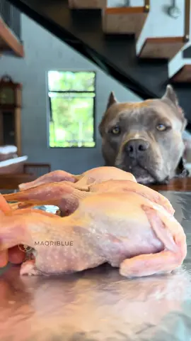 Codornas Assadas 🐾😋