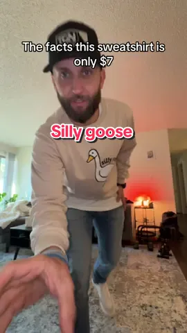 Everyone loves a silly goose 