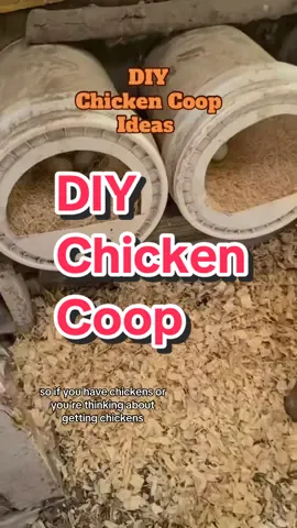 DIY Chicken Coop Ideas #chickencoop #DIY #chickens #raisingchickens #diyproject 