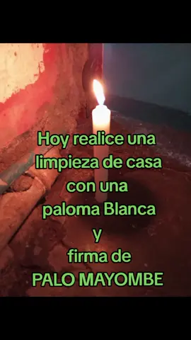 Limpieza con paloma  para recoger muerto Oscuro. #palomayombe #palomayombemexico #brujeria #brujeriasdetiktok 