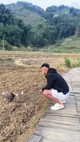 Khánh Búa#xuhuongtiktok #sapa 