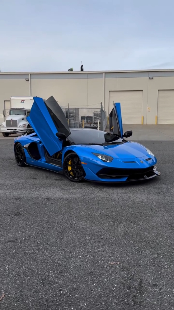 #lamborghini  #svj  #blue  #fyy  #fyp  #viral_video 