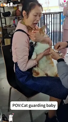Funny reactions to dog shots #catsoftiktok #foryou #funny #foryoupage #fypシ゚viral #fuunyvideo #dog 