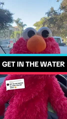 Replying to @cosmicloophole Get in the water, Rocco… #fyp #epicthemusical #epicthevengeancesaga #getinthewater #poseidon #greekmythology #elmo #muppets #karaoke #singing @Jorge Rivera-Herrans @Steven Rodriguez 