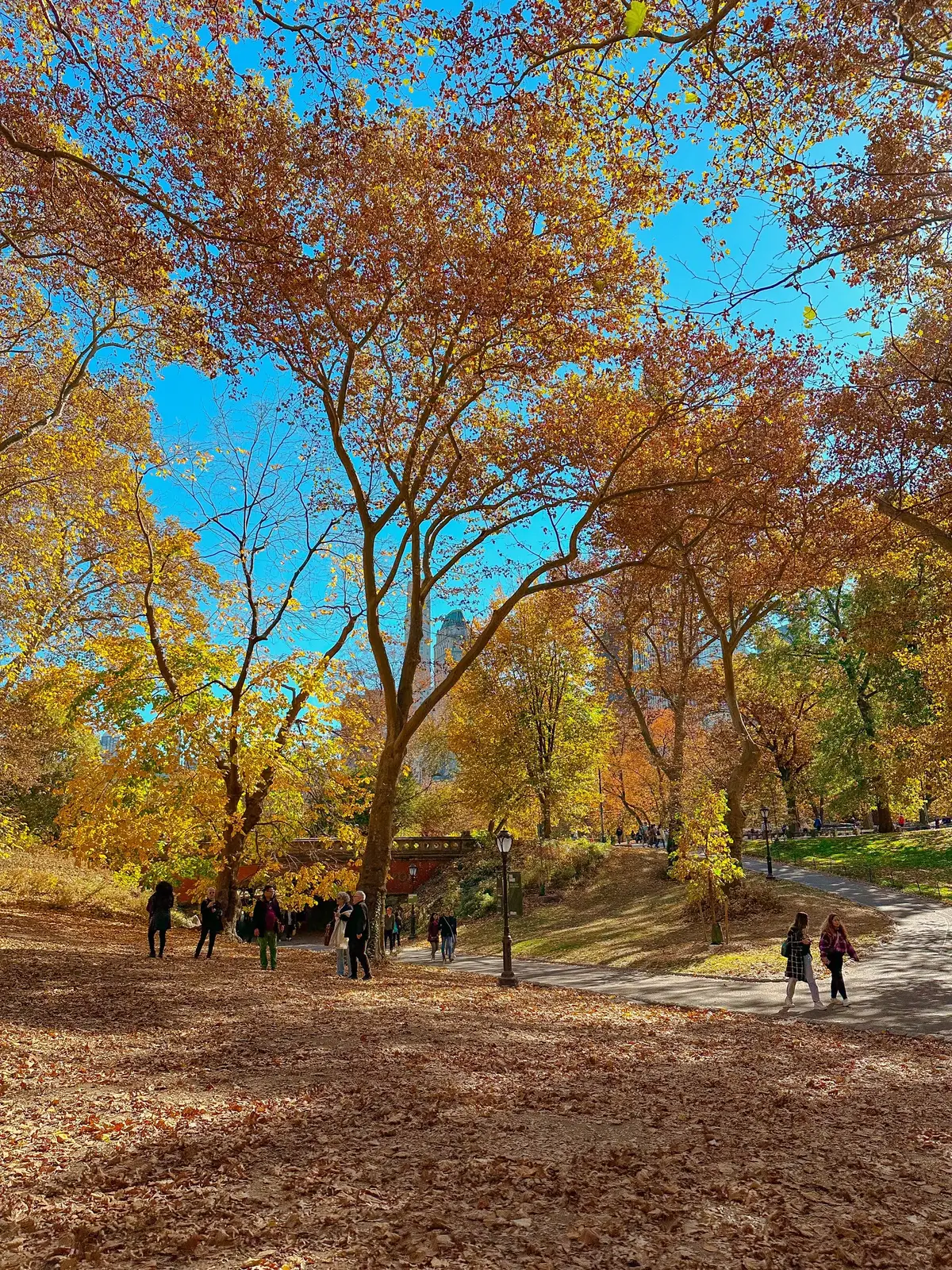 #nyc #fall #fallvibes🍂 #newyork #newyorkcity #newyorkcitylife #nyclife #jesuslovesyou 