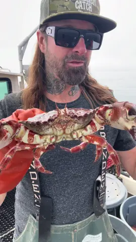 Commercial Crab Fishing #crab #commercialfishing #friendliestcatch #rockhold #seafood #bigfish #asmr 