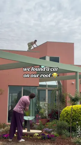 why do I scream like that 😭😭 (don’t forget to vote us for creator of the year! 😘) #interiordesign #renovation #Home 