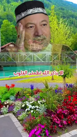 القارى عامر الكاظمي #القران_الكريم #القران #القران_الكريم_راحه_نفسية #اللهم_صل_وسلم_على_نبينا_محمد #fypシ #videoviral #foryou 