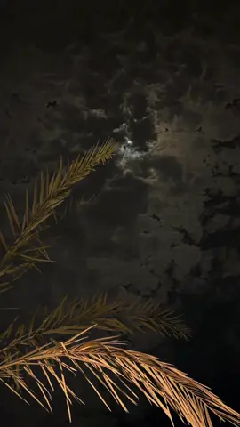 #npr1🌚 #fyp #explore #☀️ 