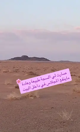 صارت لي السجة طبيعة وعادة  ماينفع المجلاس في داخل البيت #محمد_الصالح_🇸🇦 #محمد_محمد🤍🕊🌺🌸 #محاورات_قديمة #اكسبلور #كسبلوررر #كسبلورر #ناقتي🤍🌸 
