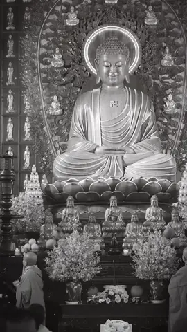 🪷🙏🍃 #phatphapnhiemmau #annhien 