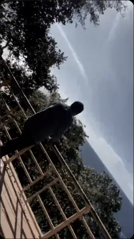 #CapCut 