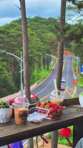 Cafe sáng tại đèo Prenn . #cafedalat #dalat #chill #reviewdalat 