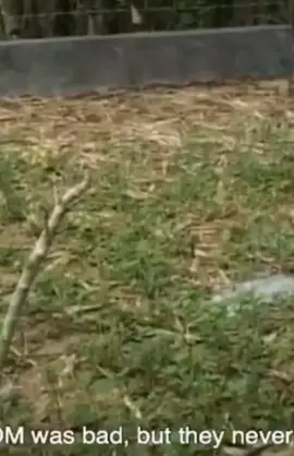 Teungku Ishak Daod... #ishakdaod #berandaaceh #Negaraacehdarussalam #Rakyataceh #Acehsumatra #Nanggroeacehdarusalam #Bangsaaceh #Acehnesekingdom #acehbakmatadonya 