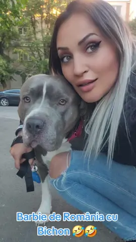 #CapCut #Enzo 💙  #denisa  #jador   #Love #audi #loveyou #following #follower #viral #mybff #fight #fighter #xlbully #xlbullynation  #dontbullymybreed❤ #november  #september  #august #payback  #july  #june #may #life   #april #week #october #dc #dcgr #march #precious  #mother #motherhood #father  #king #queen  #february #myking #january  #december  #4u #4you #4upage #4yp #5pasidebine #misiuneatiktok #dogsoftiktok #viralvideo #viral #viraltiktok #virall #fyppppppppppppppppppppppp #fyp #fypシ #fypage #fypシ゚viral #fypdongggggggg #fypp #foryou #foryoupage #foryourpage #foryoupageofficiall #dog #pitbull #pitbullsoftiktok #pitbulllove #amstaff #amstafflove #bully #americanbullyxl #bullylove #misiuneatiktok #CapCut #MomsofTikTok #baby #babylove #babiesoftiktok #babytok #momlife #dogmom #couple #couplegoals #husbandwife #pet #PetsOfTikTok #pets #petlover #momtok #babydog #Love #loveyou #lovestory #lovely #bestfriend #bestie #mybff #BestFriends #besties #bestvideo #tiktok #tik_tok #tiktoker #sweet #puppy #doglife #viral_video #virall #viralllllll #MomsofTikTok #mom #momlife #puppy #puppylove #family #familia #4u #Love #like #funny #funnyvideos #november #xyzbca #xyzbca #fight #crazy #bark #messi #funny #dogo #fyb #fybシ #fybシviral #fun #funnyvideos #funny #smart #smartdog #mommysboy #FamilyFun #sleep #sleepyday #4k  #4yp #crazy #crazystory #smartdog #viraltiktok #drive #car #carsoftiktok #romania🇷🇴 #romanian #romaniantiktok #goviral #goviralgo #flowers #snow #cold #nails #Home #crazy #crazydog #crazystory #winter #cute #cutebaby #cutedog #cuteanimals #king #queen #Love #loveyou #funny #joke #jokes #hazmeviral #hazmeviraltiktok #bossbaby #toy #toys #toystory #run #Running #moneytok #money #mc #meme #memes #memestiktok #bollywood #bollywoodsong #balkan #balkantiktok #balkanmusic #free #Summer #summervibes #block #win #fall #autumn #smoke #smoker #silence #quiet #peace #giurgiu #viral #queen #fans #pitbulls #bully #amstaff #pet #dog #dogsofttiktok #Outdoors #balkantiktok #balkan #romania #cute #cutedog #GenshinImpact  #genshin #genshinimpact33 #genshinimpact34 #youtube #youtubers #youtubeshorts #sleep #schemata #stitch #sleepover #bdlp #bdlp👑 #netflix #netfliexseries #สปีดสโลว์ #lucky 