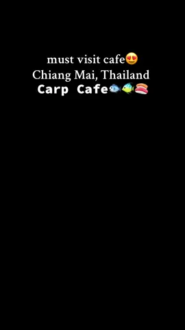 Carp cafe , The coolest cafe in chiang mai. Delicious 🍣 #chiangmai #thailand🇹🇭 #carpcafe #traveltiktok #mustvisitchiangmai #chiangmaithailand #cafe #thailandtiktok #thailandtravel @Carp Cafe Shop 