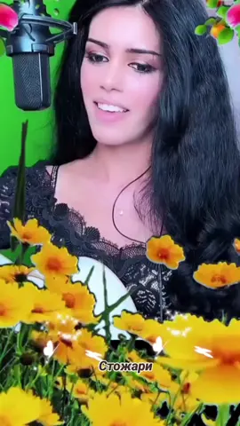 #еленаереван #гитара  #музыка #песни #Стожари  #elenayerevan #guitar  #yutube #fyp 