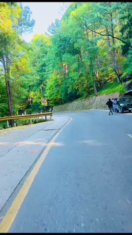 آپ آخری بار مری کب آۓ تھے؟❤️✨🫶🏻#peaktours #unfrezzmyaccount #besttravelcompany #VisitPakistan #trending #AdventureAwaits #murreehills #viral ##viral_video #CapCut #peaktoursislamabad #murreesnowvedios 