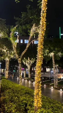 Mag night walk na sa BGC!  #bgc #bonifacioglobalcity #bonifaciohighstreet #taguig #christmas #christmasdecor #fyp #foryou