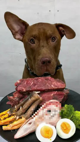 Pitbull eating raw foods#Mukbang #asmr #satisfying #rawfeeding 