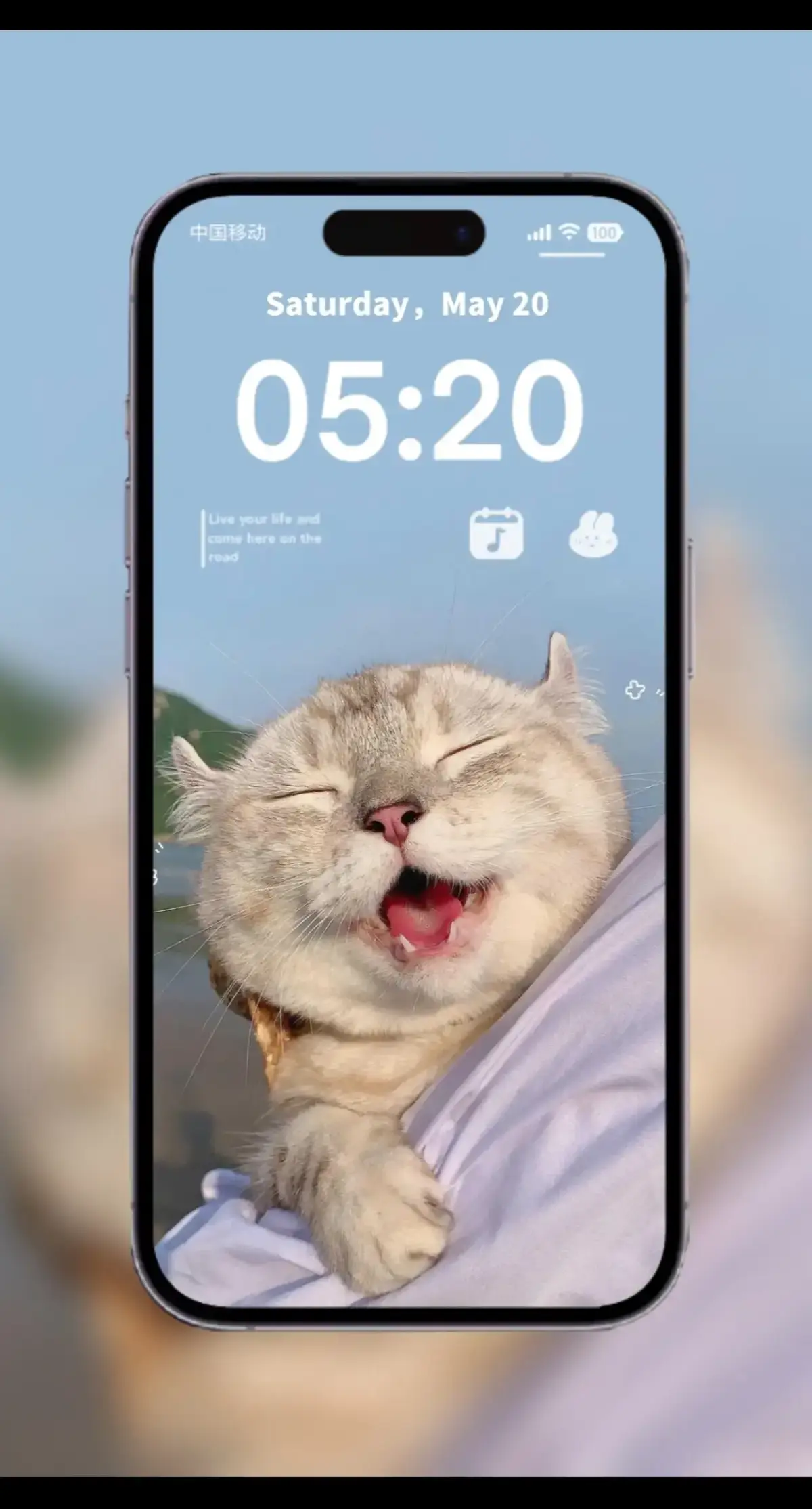 #cats #cutecat #hinhnendienthoai #hinhneniphone #hinhnendienthoaidep #iphonewallpaper #phonewallpaper #wallpaper #dienthoai #iphone #hinhnen #ilovetiktok #nghienopdienthoai #cute #fpy #fpyシ #hinhneniphonedep #meow #meo 