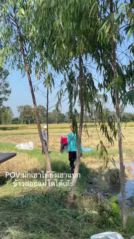 ตัวแม่มาแบกข้าวติ😂#ฟีดด #ขุขันธ์ศรีสะเกษ #ดูให้จบ 