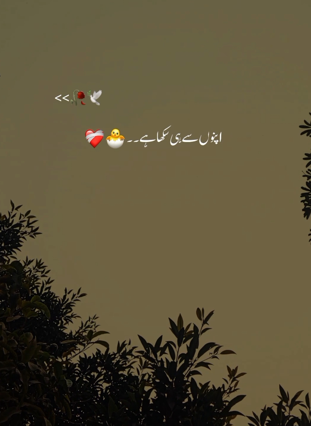 Koi apna Nahi hota 🙃❤️‍🩹 #usman_azam_60 #aesthetic #viral #video #grow #account #foryou #foryoupage #trending #poetry #status #onemillionaudition #romantic #sad 