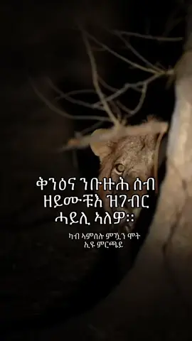 #eritreantiktok #eritreantiktok🇪🇷🇪🇷 