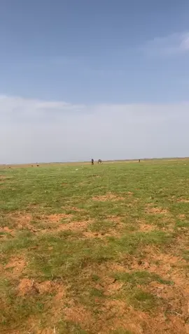 #اكسبلور_ #اكسبلور_ 