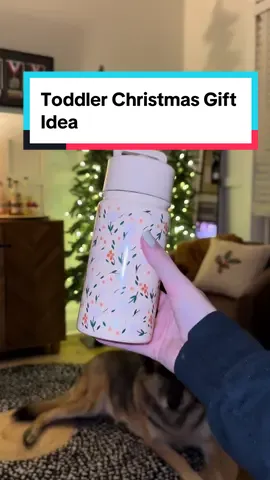 My daughter is going to love this! She always takes my Simple Modern water, she will be so excited to have one that matches. She’ll still take mine lol but will be happy with hers too #tiktokshop #christmas #toddlerchristmasgift #giftidea 