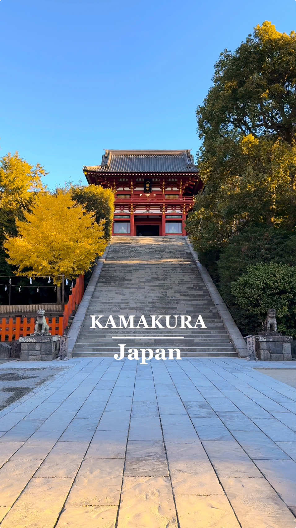 もうすぐ見頃になる鎌倉の紅葉🍁⛩ 📍Kamakura / Japan🇯🇵 🗾 鎌倉 【Location】 📍Tsurugaoka Hachimangu Shrine(鶴岡八幡宮) 📍Meigetsuin Temple(明月院) 📍Ichijo Ekan Sanso(一条恵観山荘) 📍Kuzuharaoka Shrine(葛原岡神社) 📍Jomyoji Temple(浄妙寺) 📍Kotoku-in Temple(高徳院) 📍Hasedera Temple(長谷寺) 📍Chojuji Temple(長寿寺) 美しい鎌倉の紅葉🍁🥰🍂 鎌倉は全国のなかでも見頃がやや遅く、12月に入ってもなお色づいているスポットがたくさんあります。 11月に紅葉狩りができなくても鎌倉に来れば美しい紅葉を見ることができますよ🍁🍂 The best time to see the autumn leaves in Kamakura is a little later, and there are still many spots where the leaves are colored in December. Even if you can't see the leaves in November, we recommend coming to Kamakura as you can still see the beautiful autumn leaves.🍁🍂 #鎌倉 #紅葉 #神奈川 #鎌倉観光 #鶴岡八幡宮 #日本の風景 #Kamakura #japan 