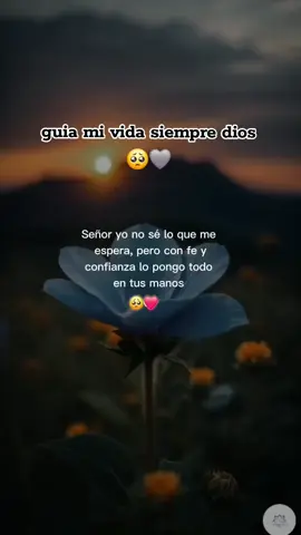 #🖇 Dios guiame 🥺🩶 sin ti no soy nada dios🥺🖇