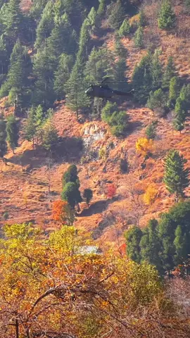 پت جڑ میں بہار  کی تلاش🍁#standwithkashmir #leepavalley #trending #viral #foryoupage #foryou 