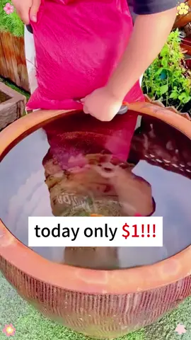 You will like this #TikTokShop #goodforyou #foryou 